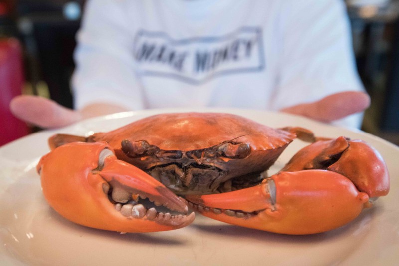 “Crazy about Crab” promotion at The Square, Novotel Bangkok on Siam Square