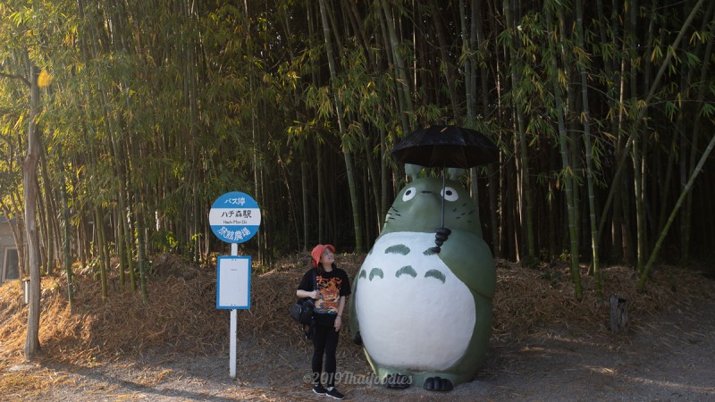 Explore New Experience Japanese Ryokan House resort in Chiangrai at Ryokan Cafe