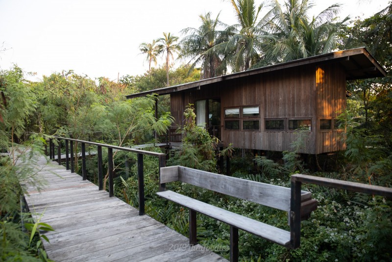 Explore Amazing Resort &Cafe in Bangkrachao 