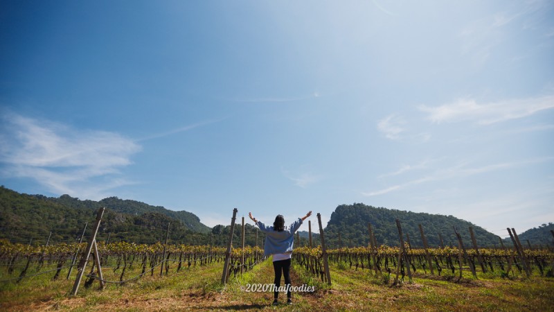 Experience a relaxing trip and peace of mind at the GranMonte Vineyard and Winery in Khaoyai 