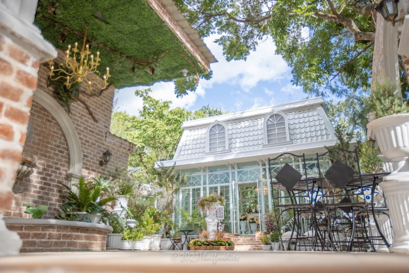 Chocolate fine dining serves 6 courses at 