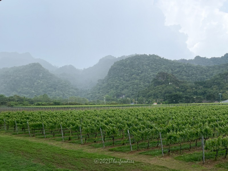 A Tranquil Retreat: GranMonte Vineyard and Winery Review