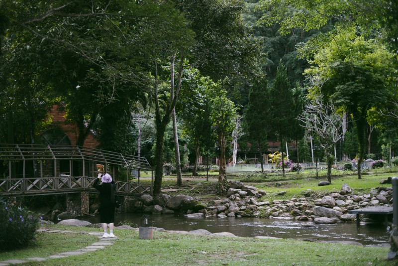 Flora Creek, Kritsada Doi: Accommodation Embraced by Rivers and Mountains