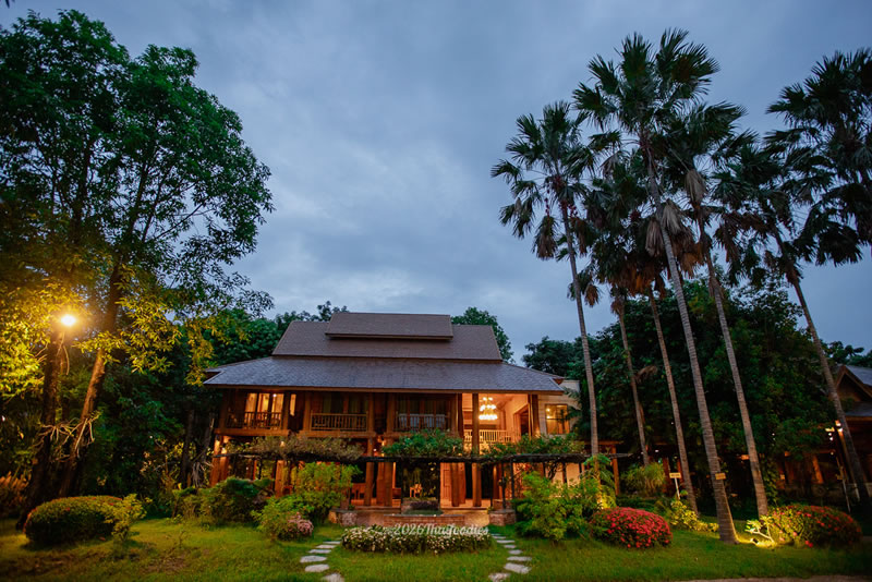 🍃 Tak: More Than Just a Stopover! Check in at 