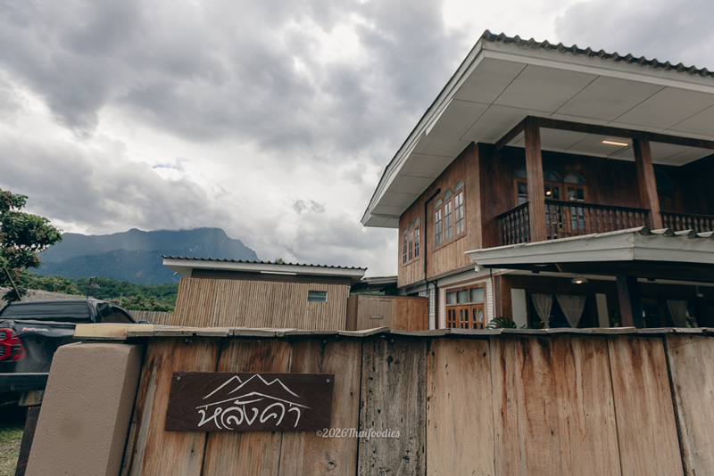 🏔️ Pin Your Next Escape: A Stunning Chiang Dao Getaway, Fine Tea, Art, and Nature